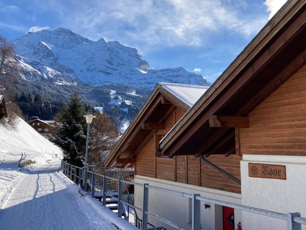 Apartment Rose Apt- Y By Interhome Wengen Luaran gambar
